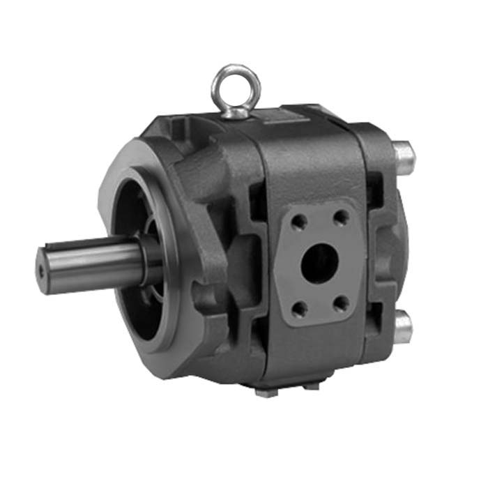 SH2 Internal Gear Pump