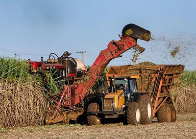 markets-agriculture.jpg