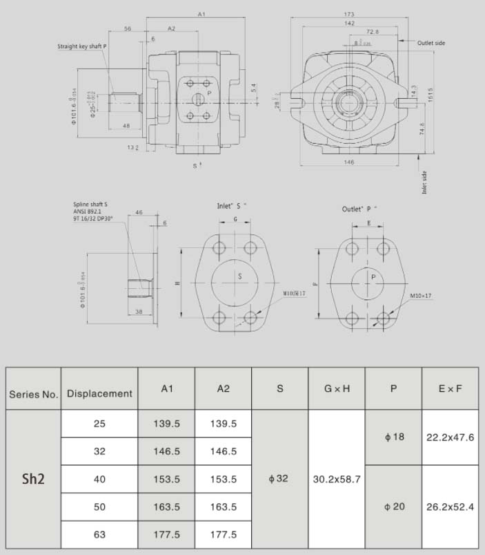 SH2 Internal Gear Pump-2.jpg