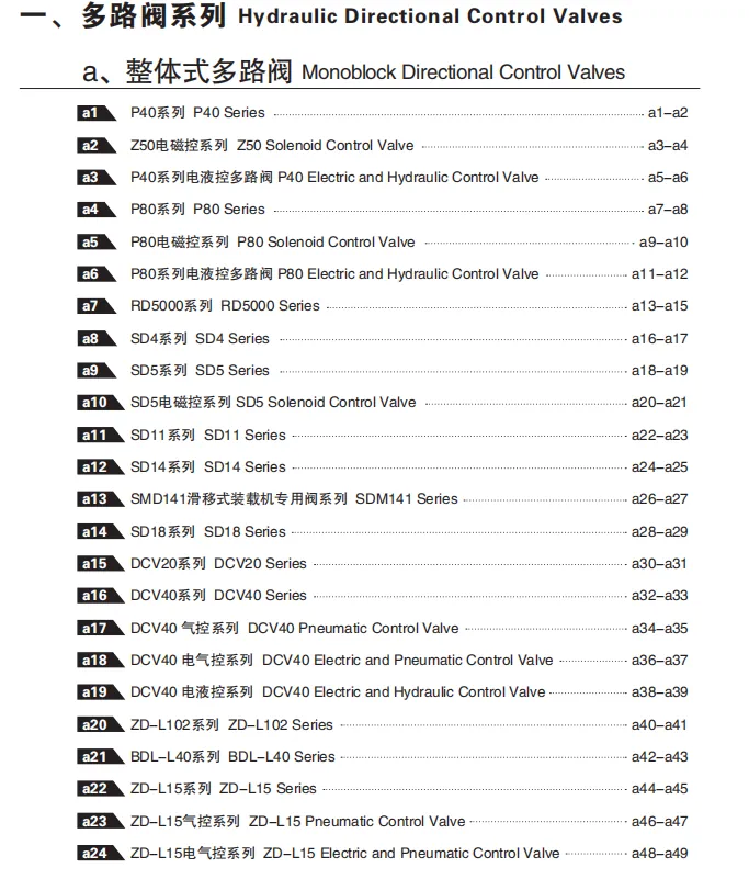 2024 SAIVS Hydraulic Valve Sample PDF.webp